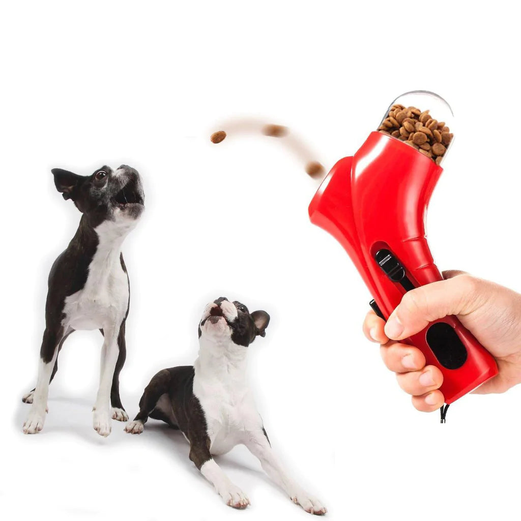 Best chew toys for boston terriers online