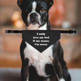 I Only Love The Bed And My Mama. I'm Sorry Dog Bandana Collar
