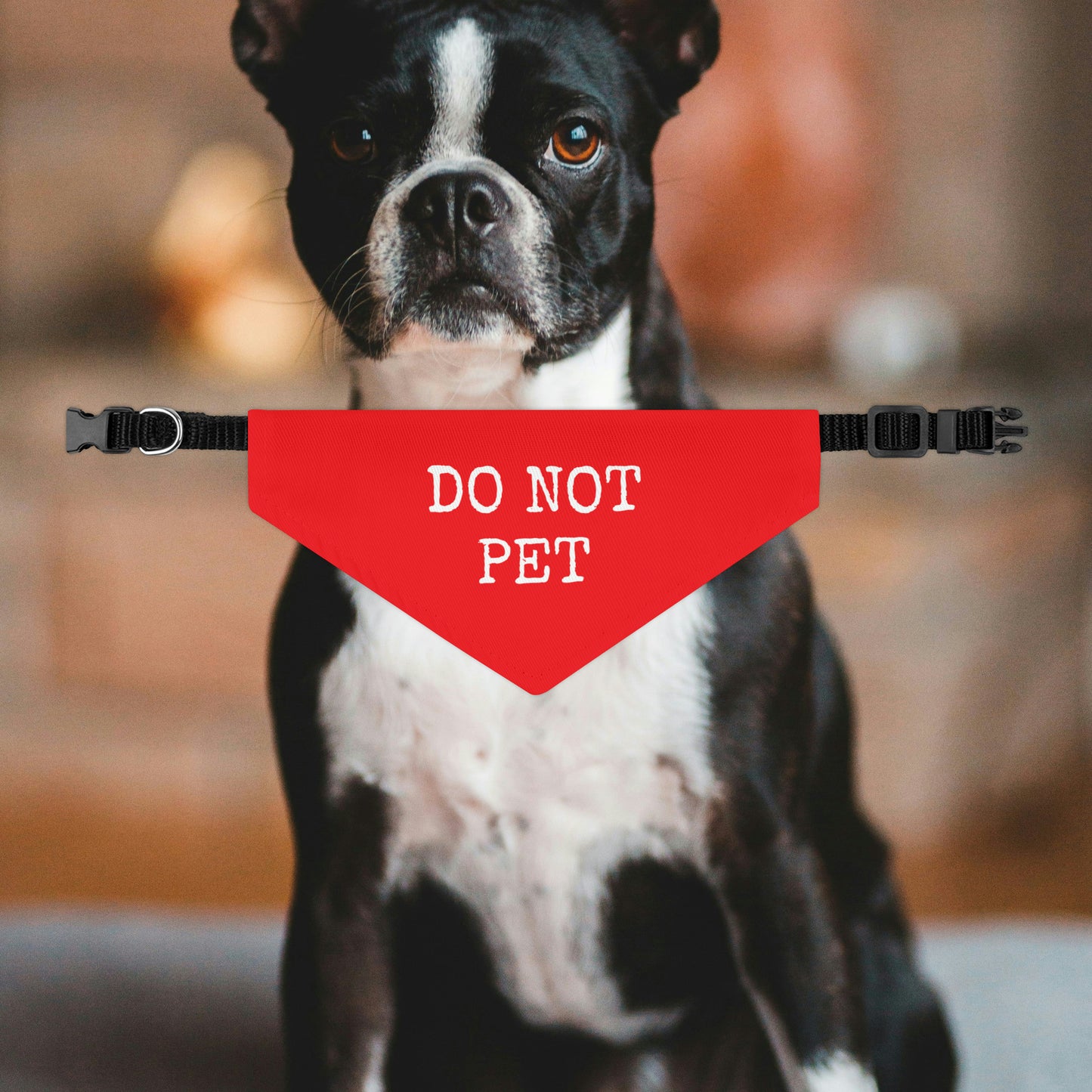 Do Not Pet Dog Bandana Collar