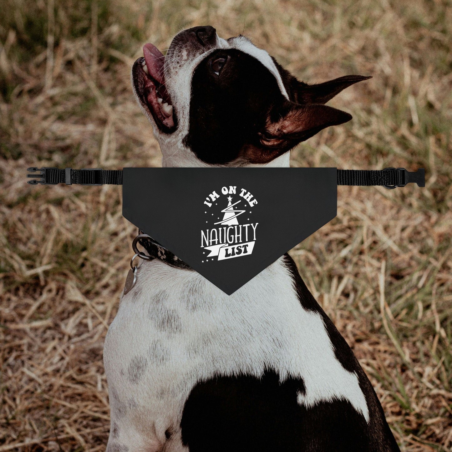 I'm On The Naughty List Chrismas Dog Bandana Collar - Black