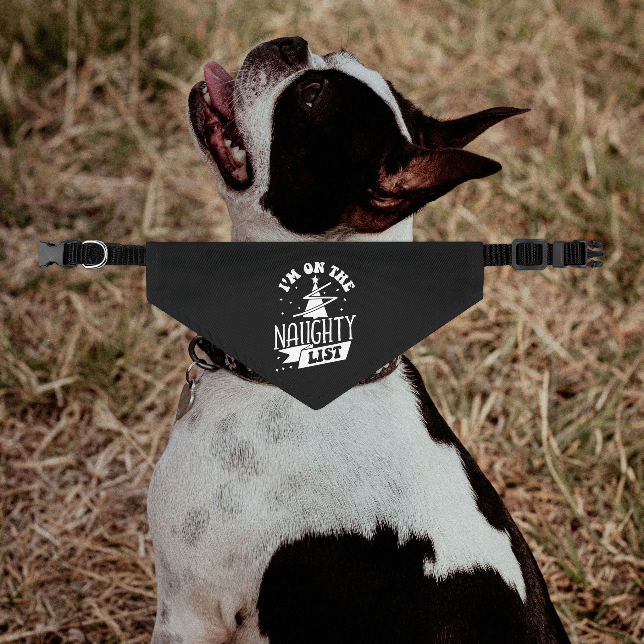I'm On The Naughty List Chrismas Dog Bandana Collar - Black
