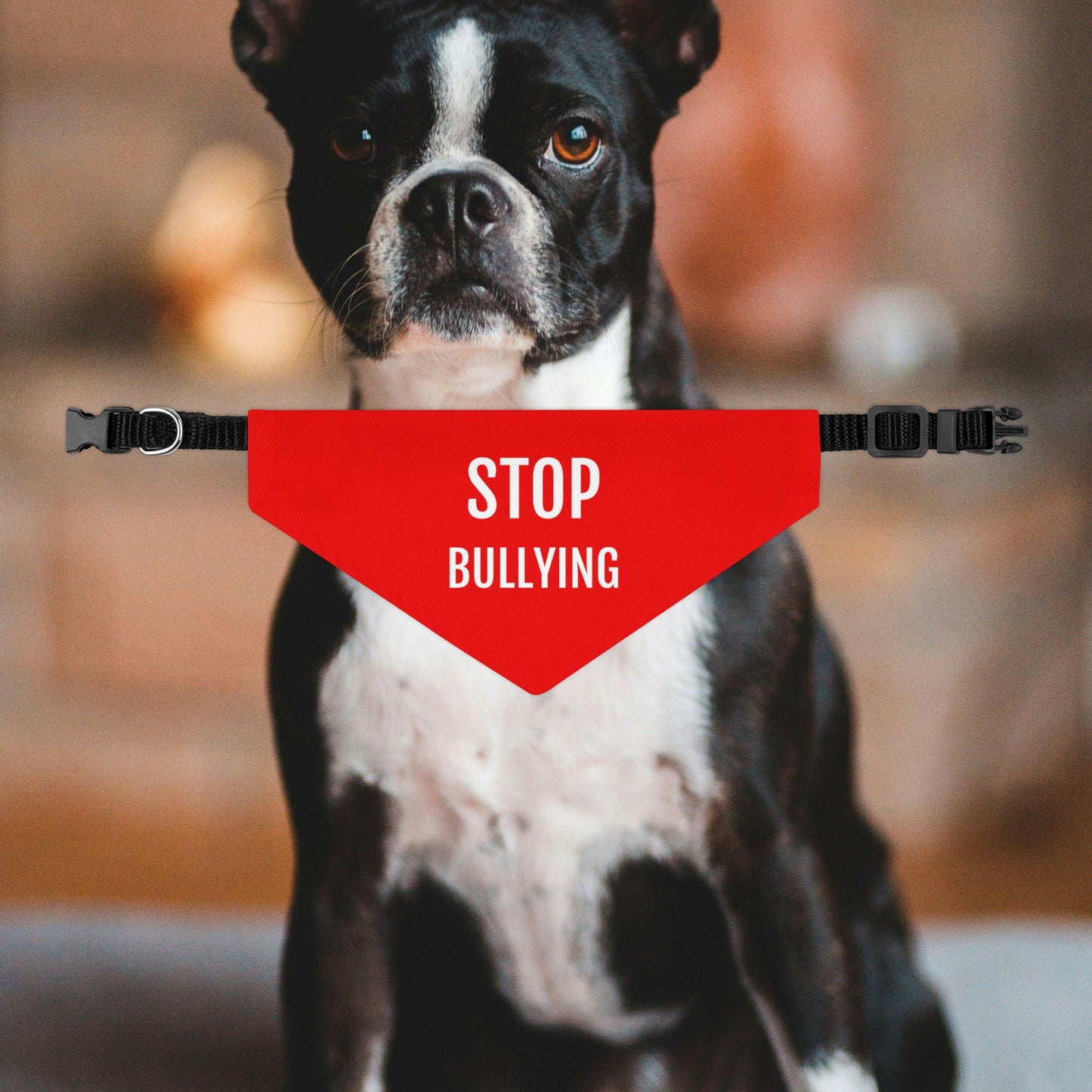 Stop Bullying Dog Bandana Collar