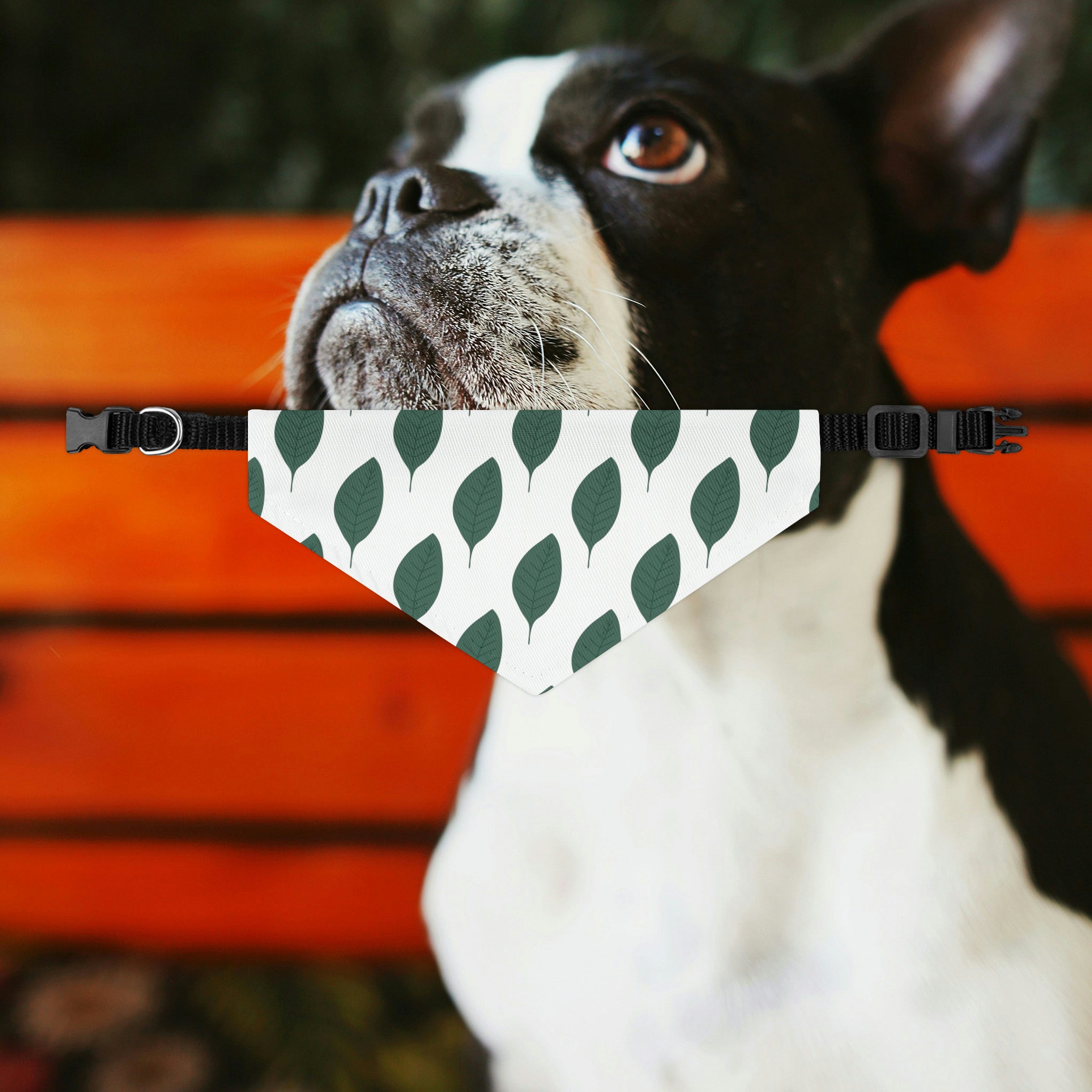 Green Leaf Dog Bandana Collar
