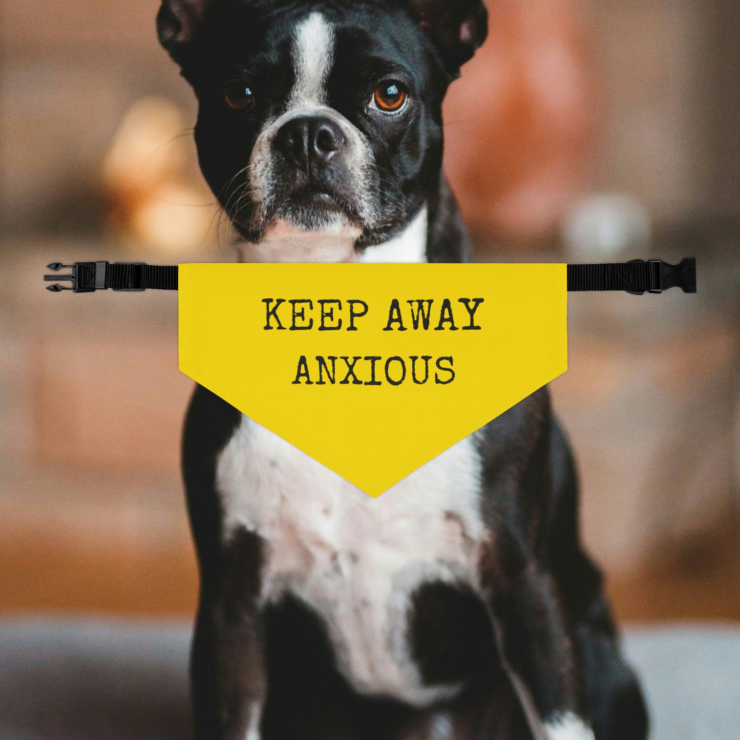 Anxious Dog Keep Away Bandana Collar