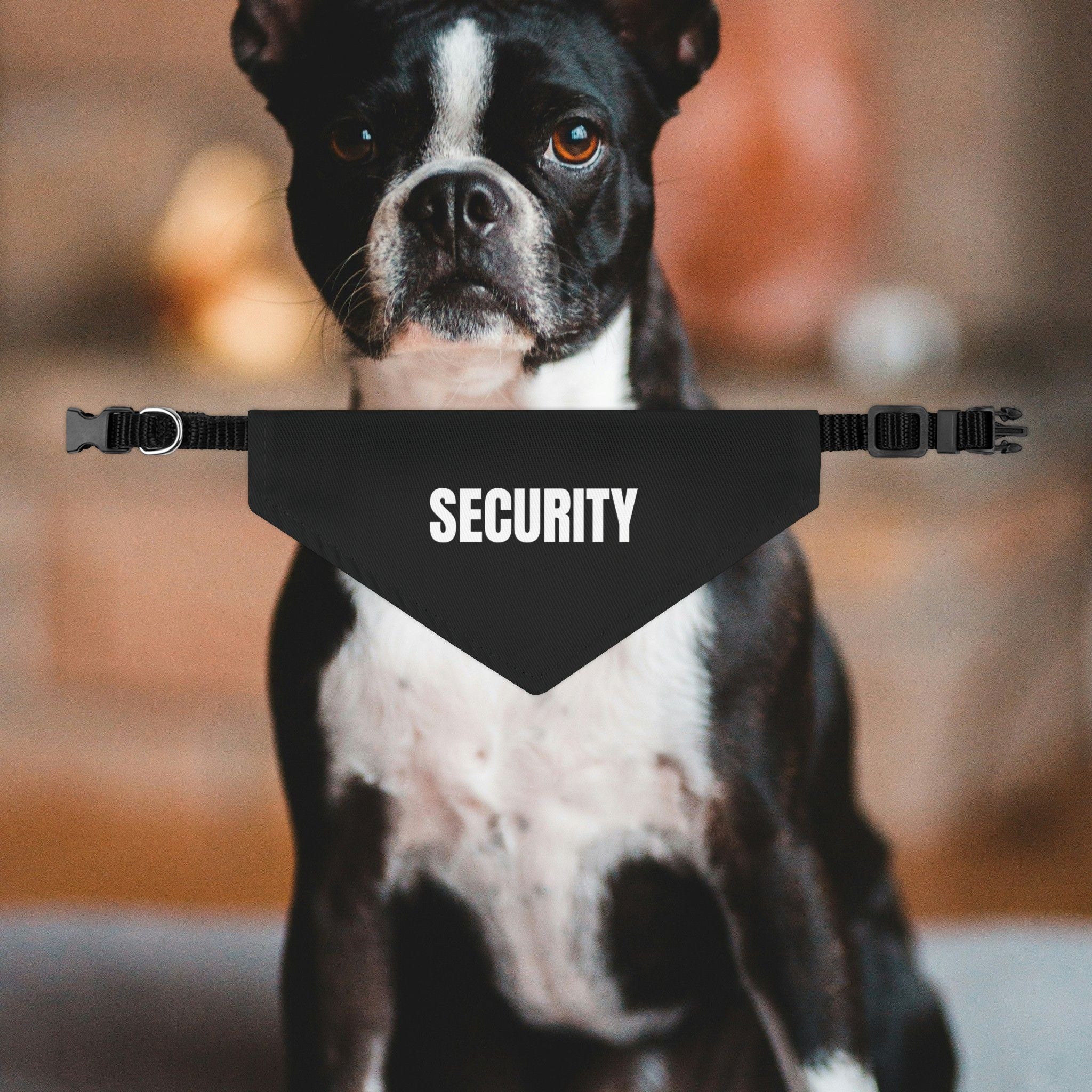 Security Dog Bandana Collar