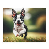 Boston Terrier Puppy Puzzle (120, 252, 500-Piece)