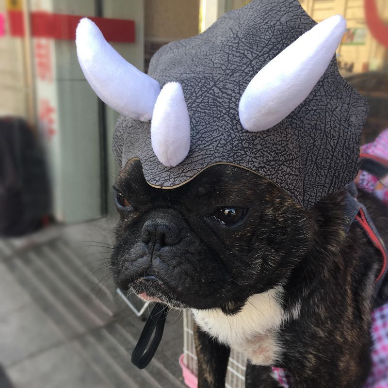 Triceratops Dinosaur Dog Hat Headgear Costume