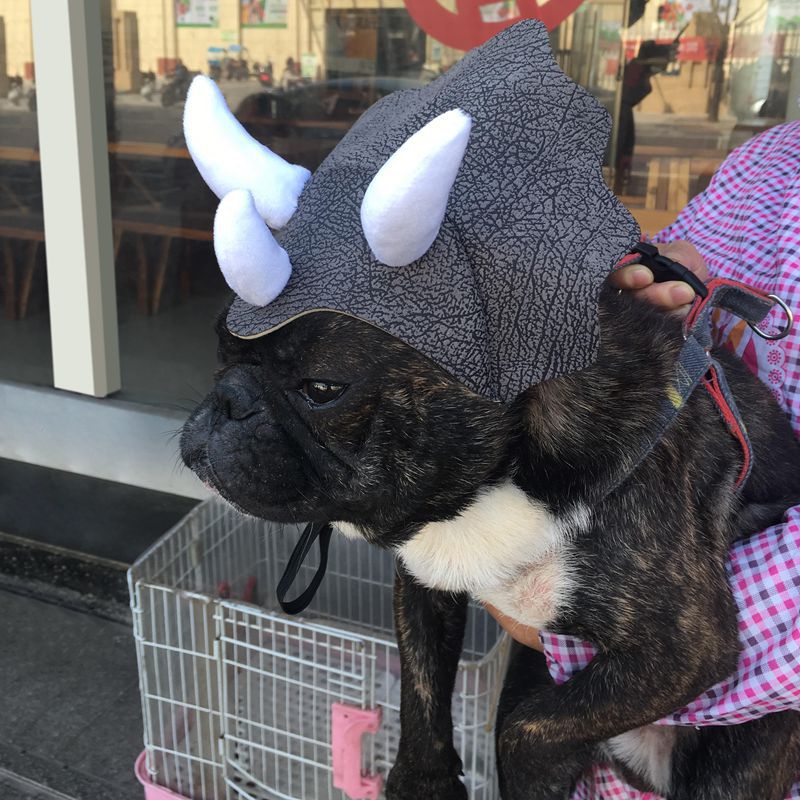 Triceratops Dinosaur Dog Hat Headgear Costume