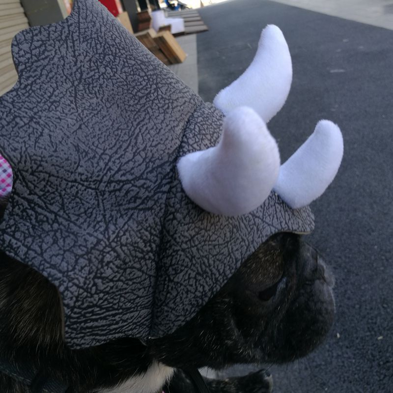 Triceratops Dinosaur Dog Hat Headgear Costume