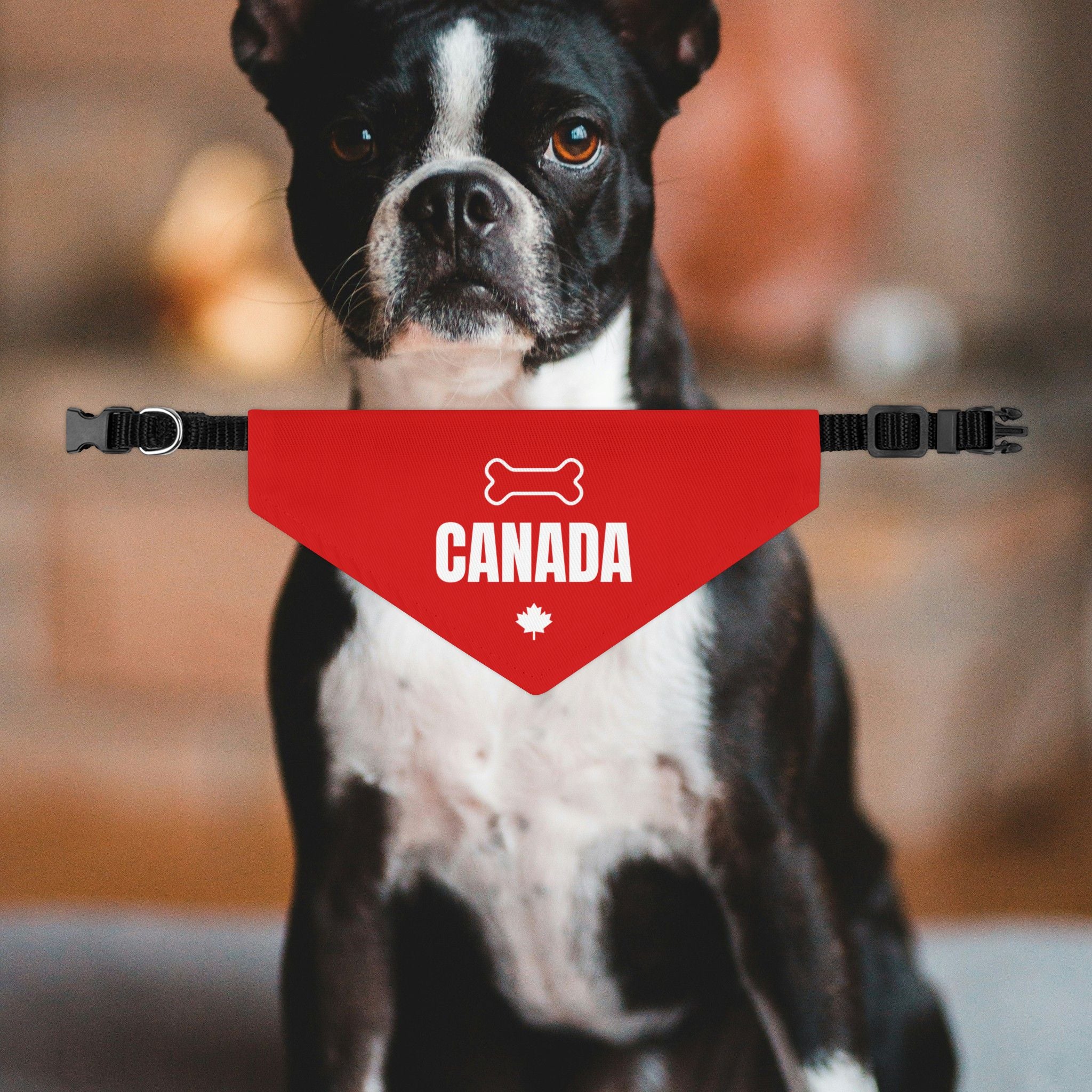 Canada Dog Bandana Collar