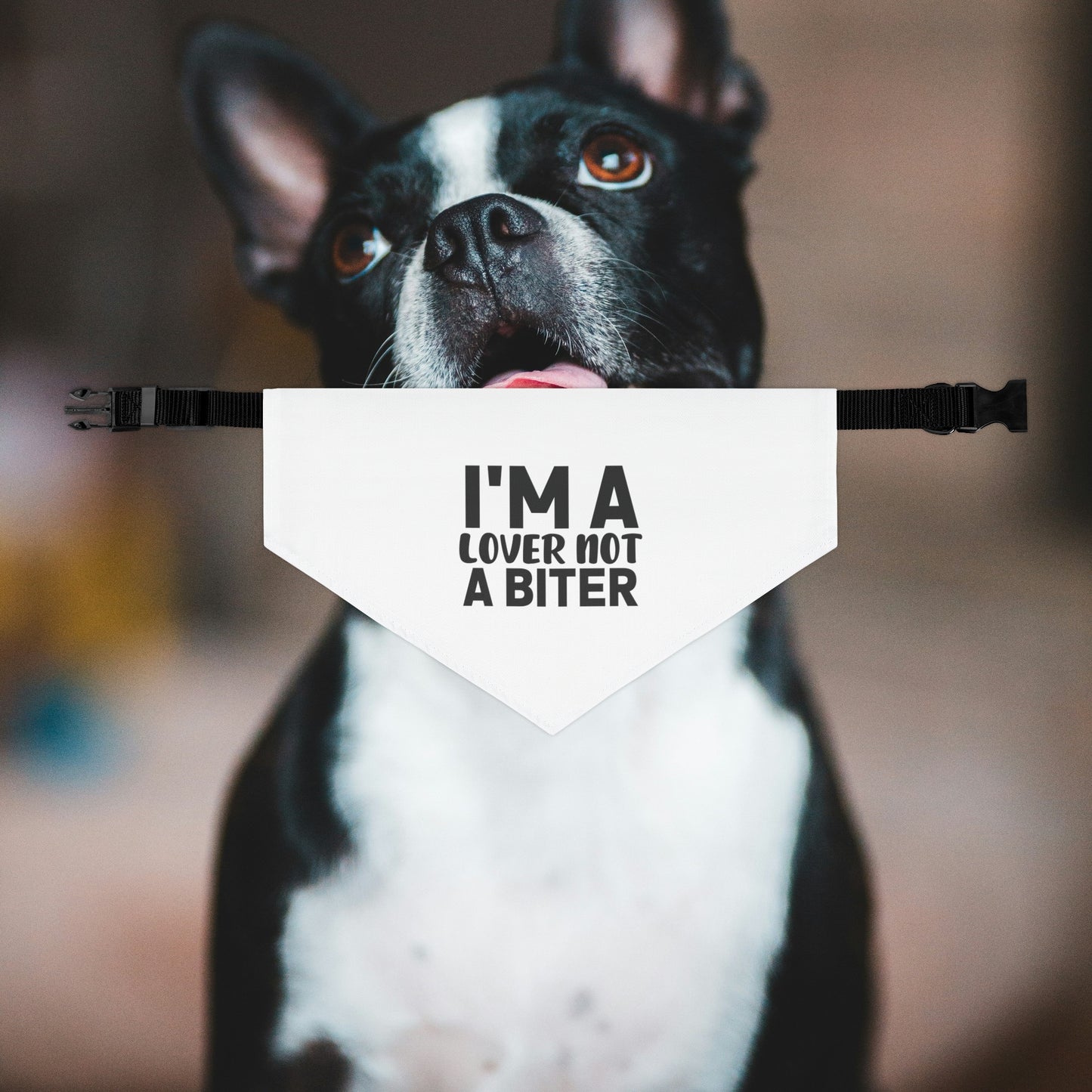 I'm A Lover Not A Bitter Dog Bandana Collar