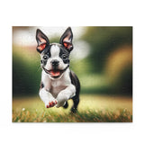 Boston Terrier Puppy Puzzle (120, 252, 500-Piece)