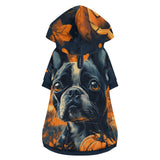 Halloween Pumpkin Boston Terrier Dog Pet Clothes Outfit Pullover Hoodie