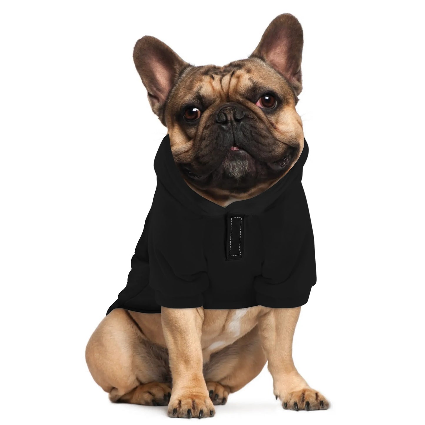 Have You Seen My Balls Pullover Dog Hoodie