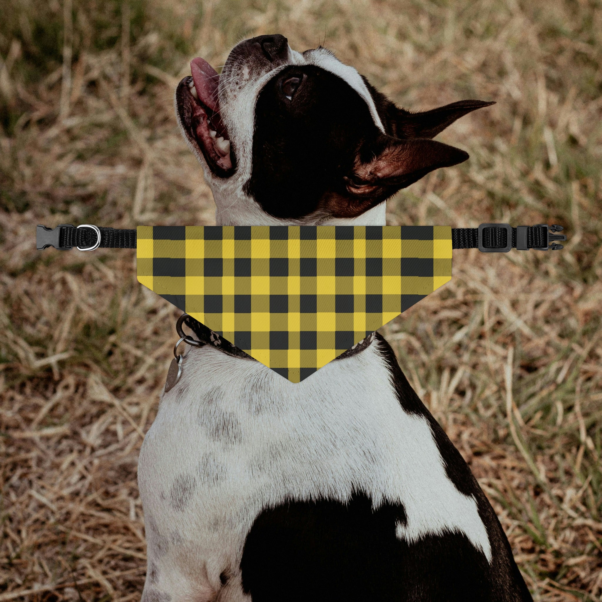 Black and Yellow Plaid Dog Bandana Collar