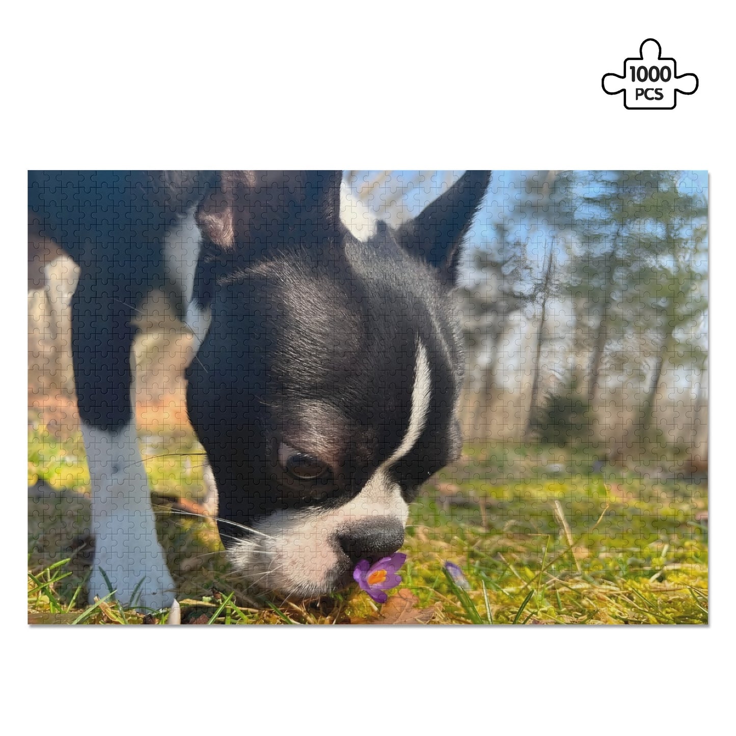 Custom Jigsaw Puzzle Using Dog Photo (1000 Pcs)