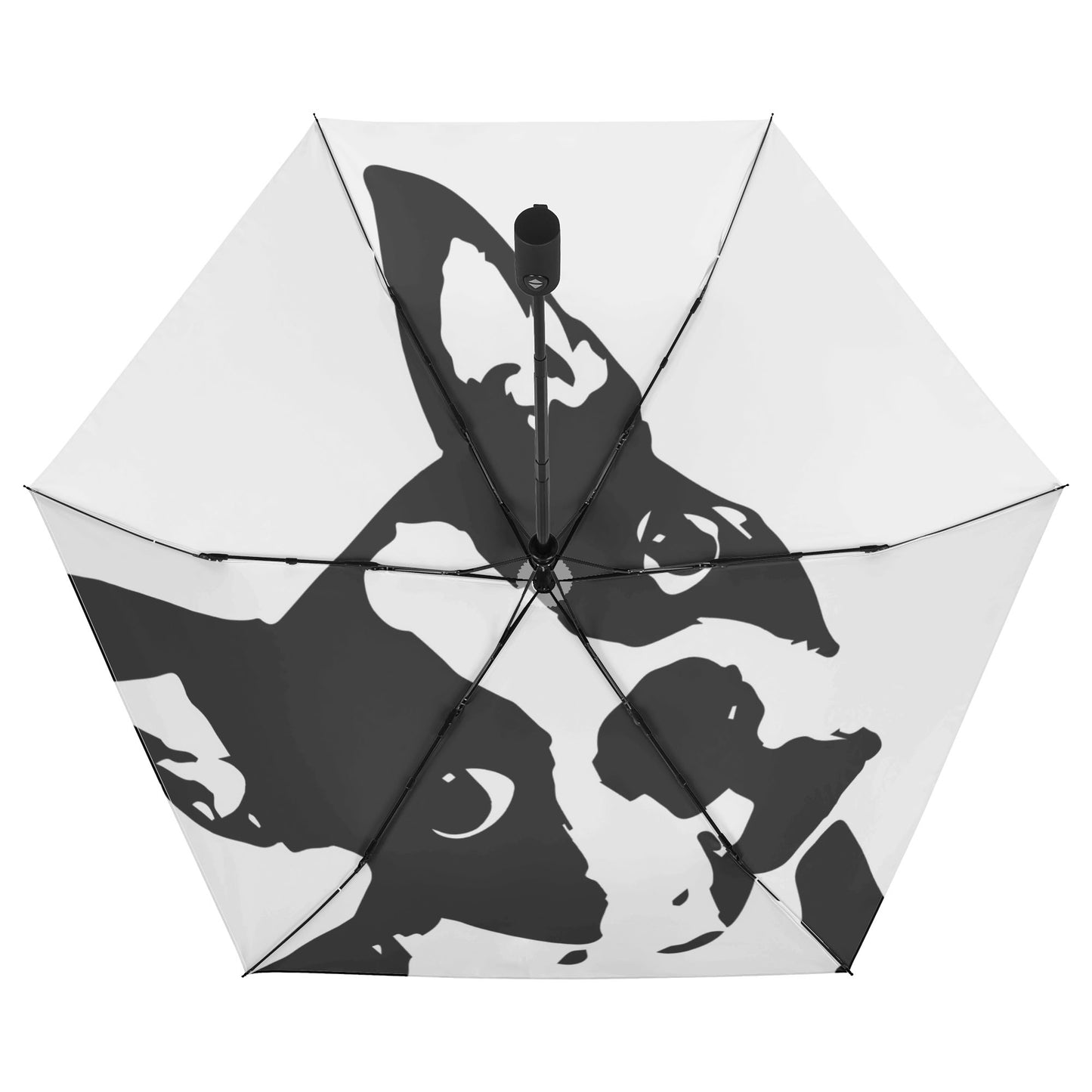 Boston Terrier Dog Head Tilt Auto Open & Close Umbrella