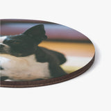 Custom Wood Coaster Using Dog Photo (4 Pcs)