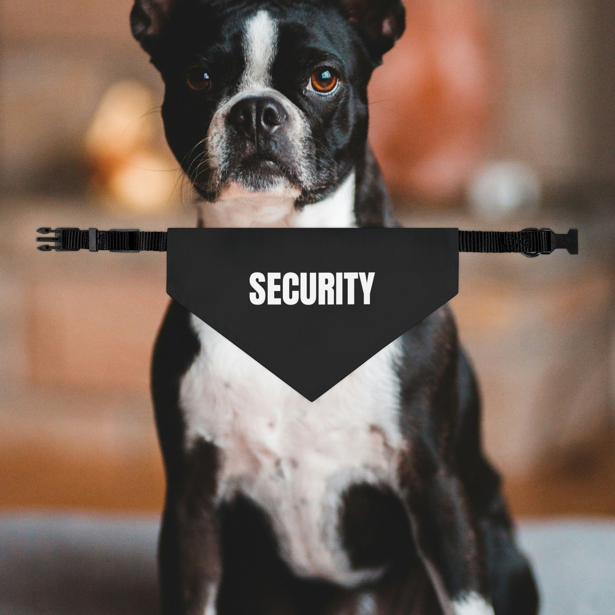 Security Dog Bandana Collar
