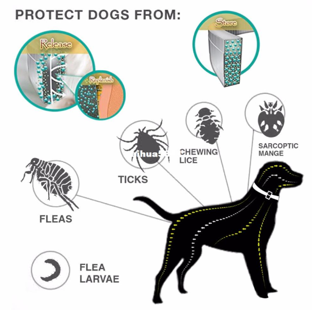 Flea And Tick Collar For Dogs