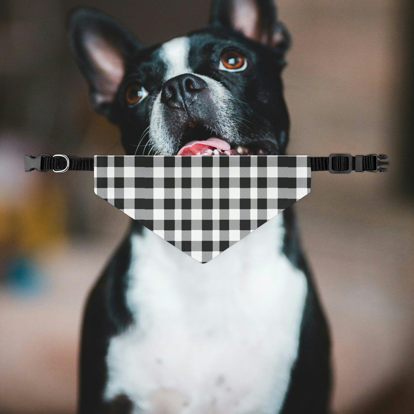 Black and White Plaid Dog Bandana Collar