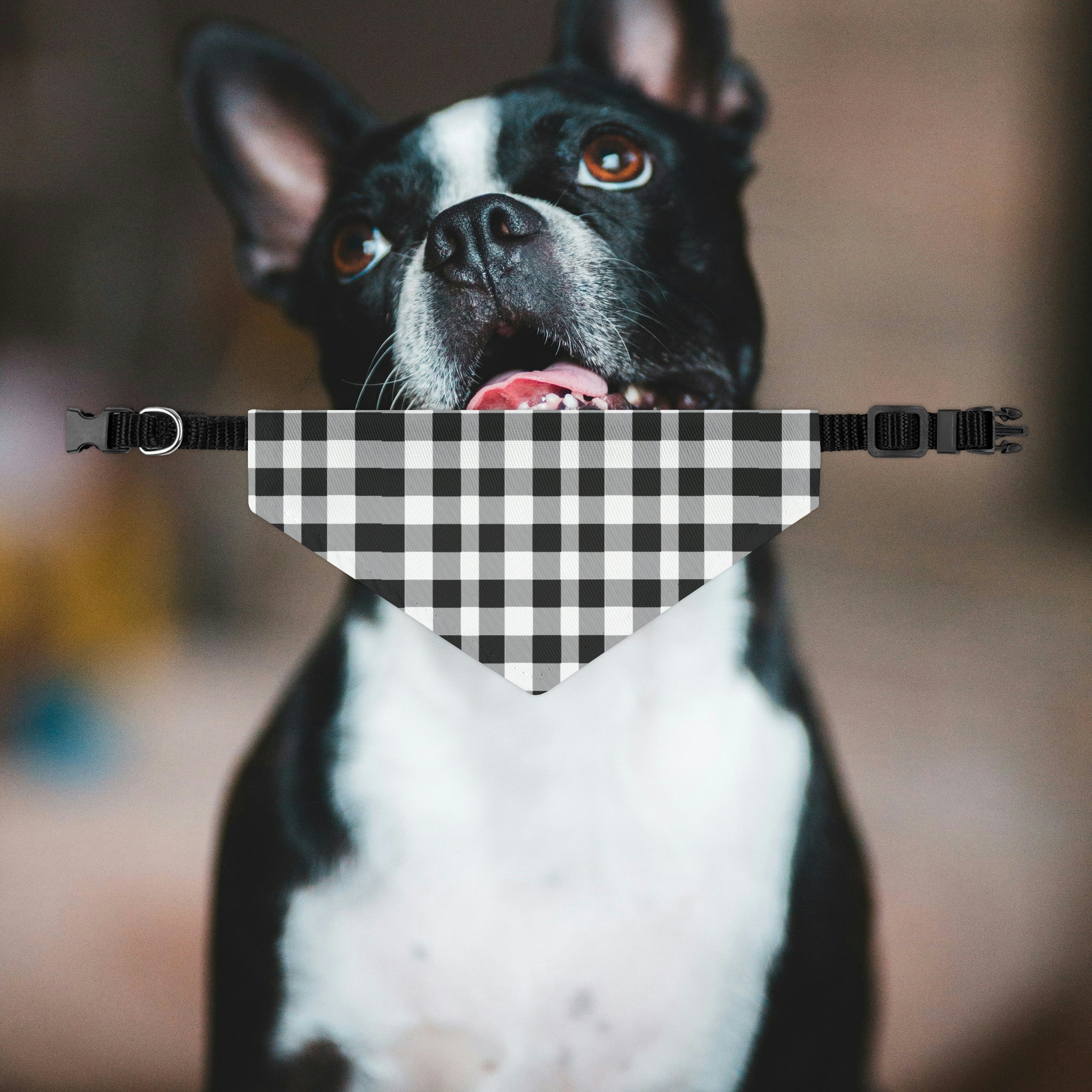 Black and White Plaid Dog Bandana Collar