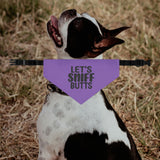Let's Sniff Butts Dog Bandana Collar