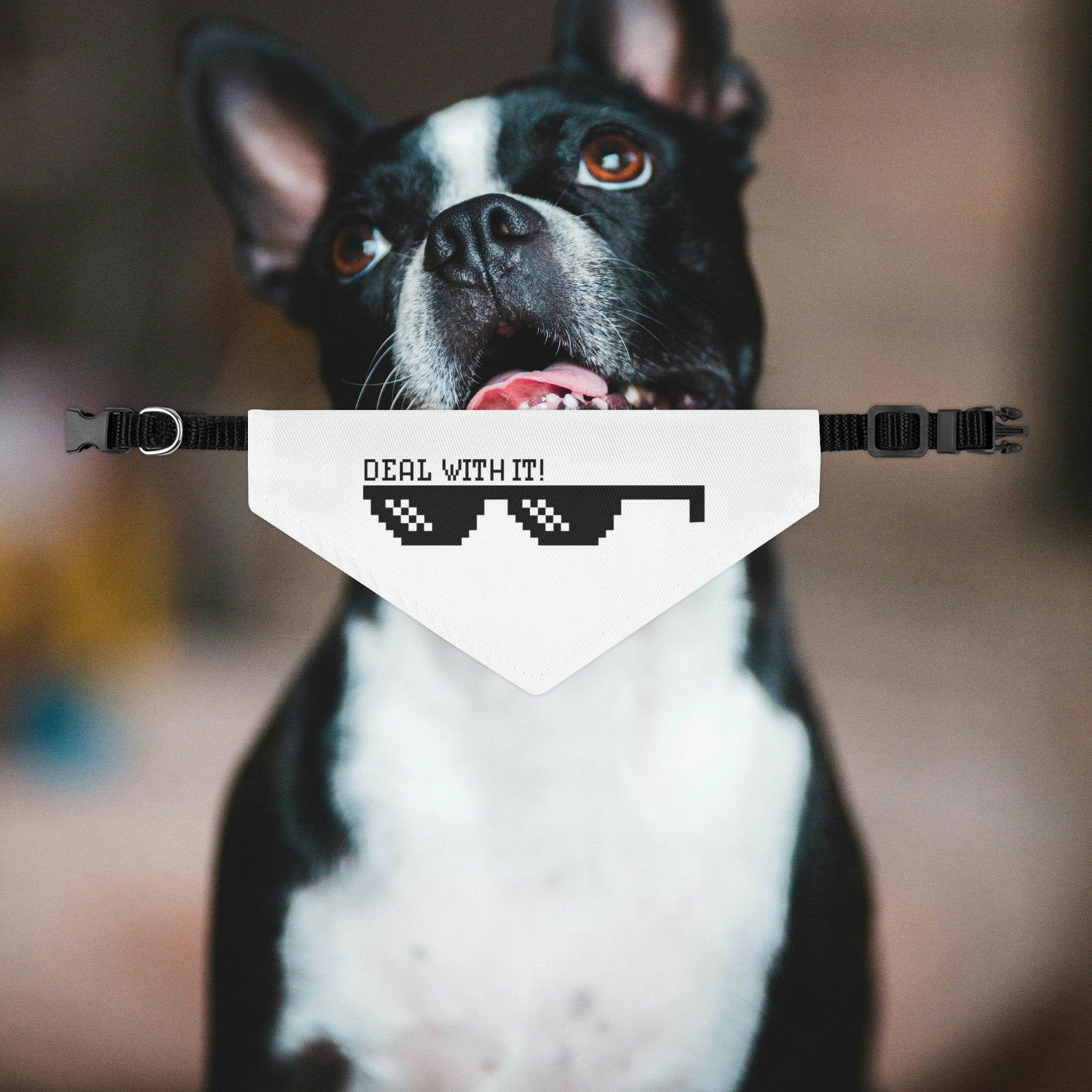 Deal With It Dog Bandana Collar
