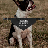 I Bark For No Reason Funny Dog Bandana Collar