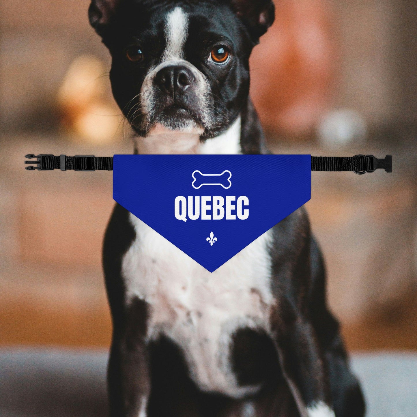 Quebec Dog Bandana Collar