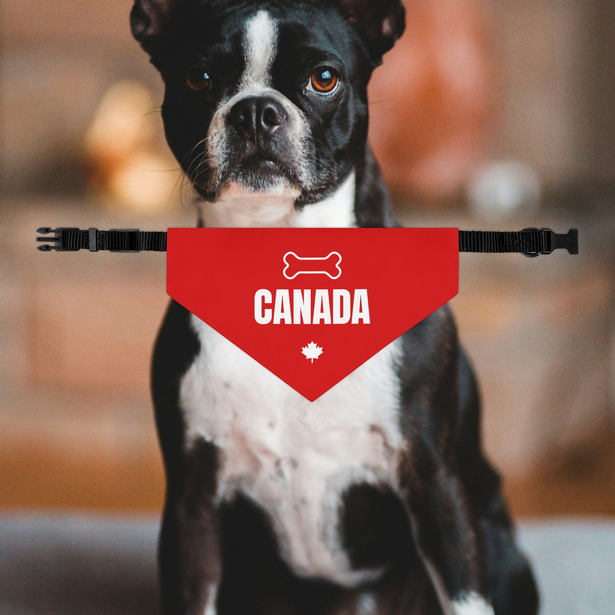 Canada Dog Bandana Collar