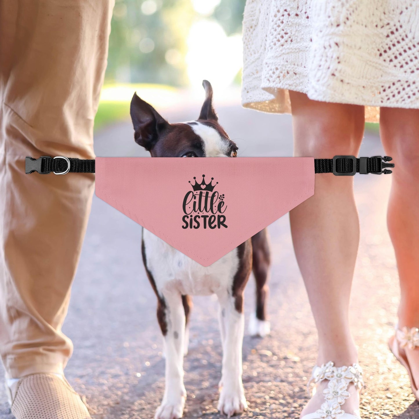 Little Sister Dog Bandana Collar