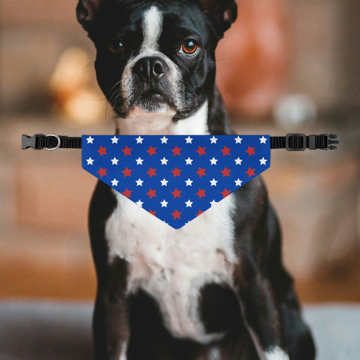 4th Of July Dog Bandana Collar