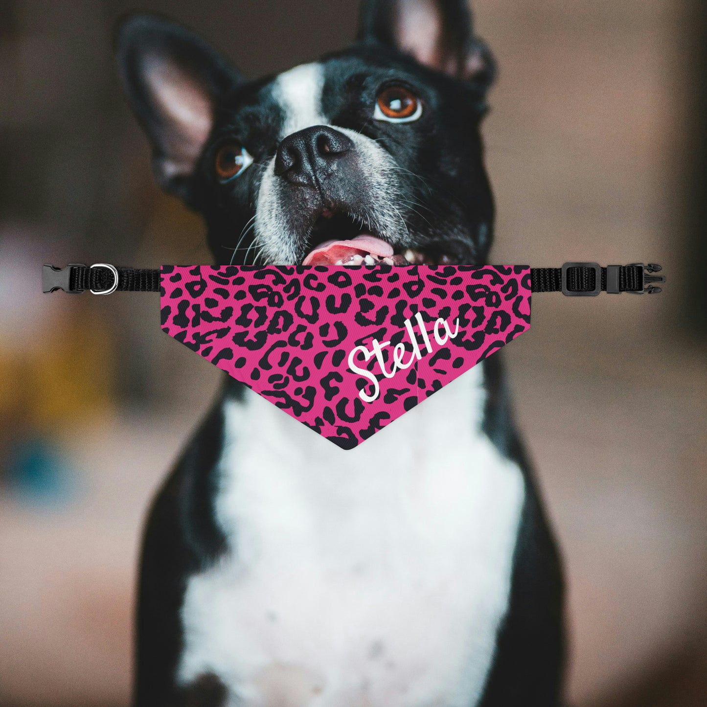 Personalized Pink Leopard Dog Bandana Collar