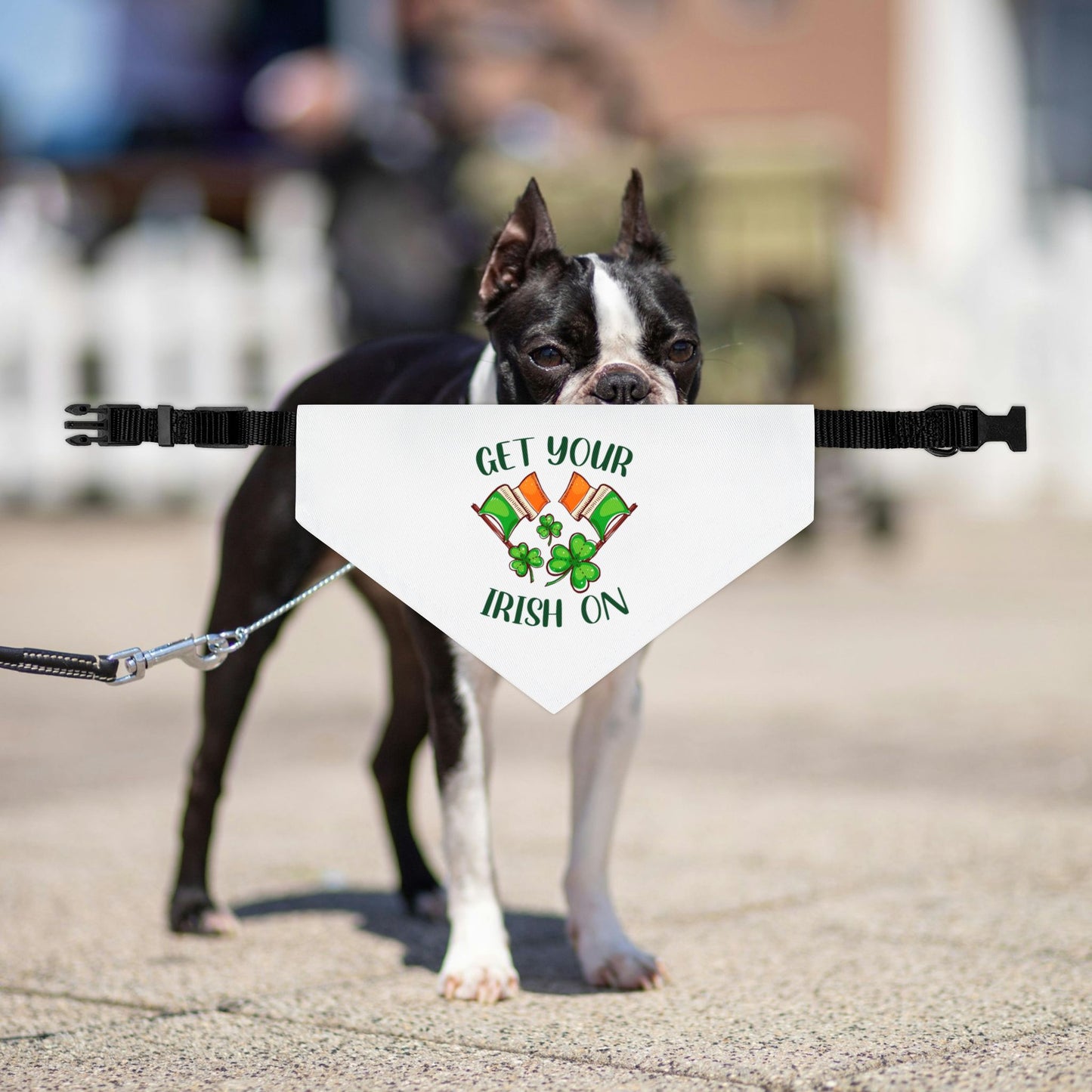 Get Your Irish On Saint Patrick Dog Bandana Collar