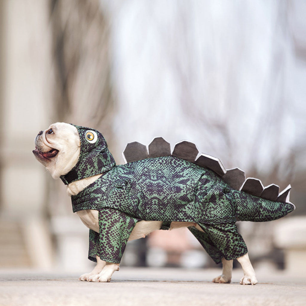 Dinosaur Dog Costume (Stegosaurus)