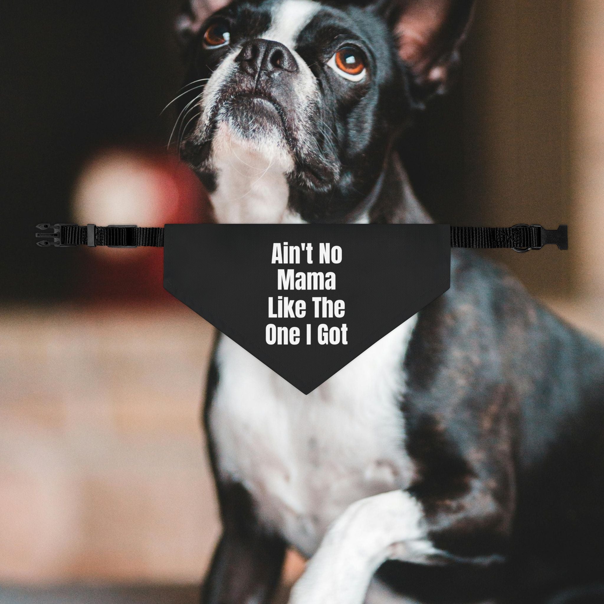 Ain't No Mama Like The One I Got Dog Bandana Collar