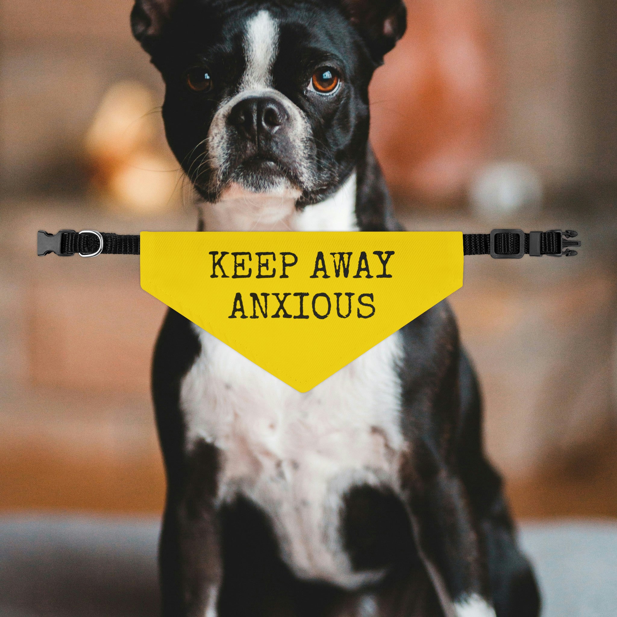 Anxious Dog Keep Away Bandana Collar