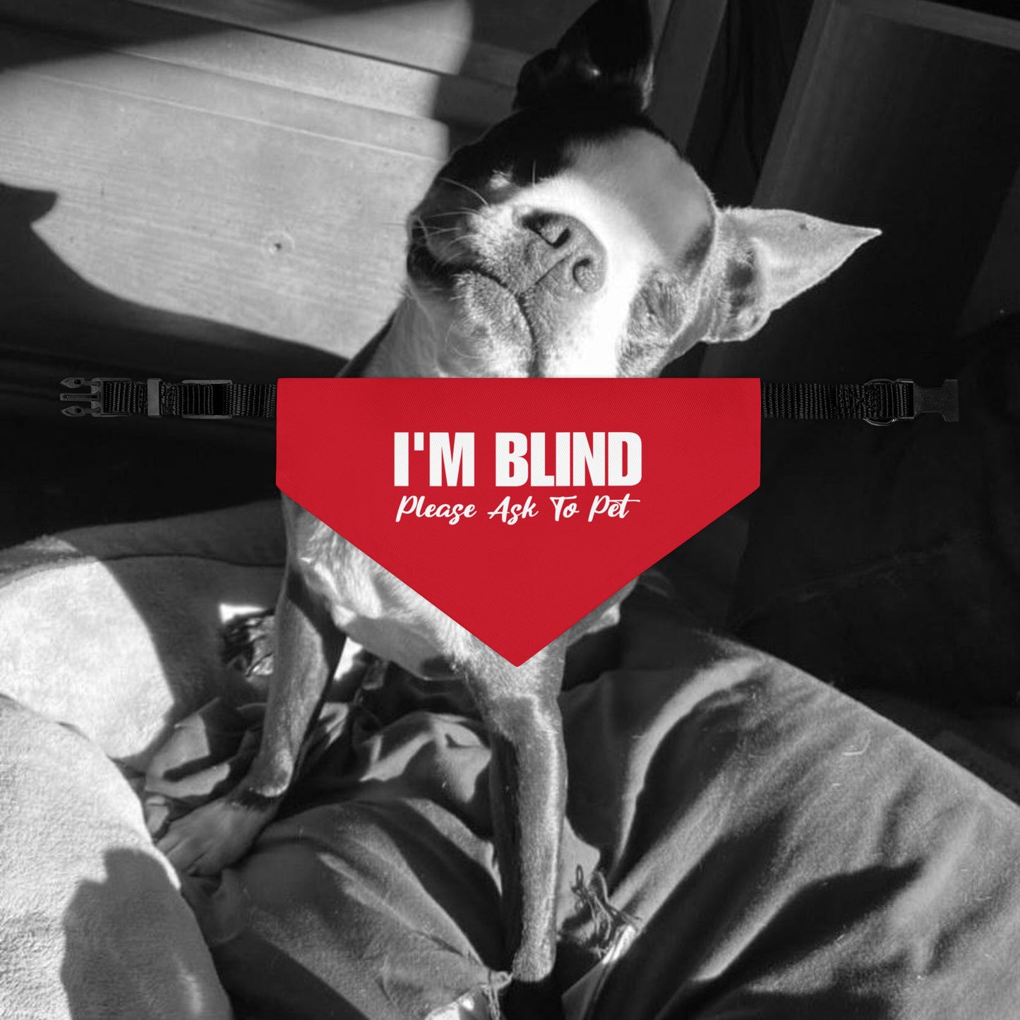 I'm Blind Please Ask To Pet Dog Bandana Collar