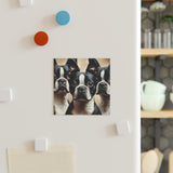 Three Boston Terriers Magnet