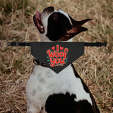 I Woof You Dog Bandana Collar - Black
