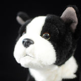 Boston Terrier Dog Plush Stuffed Animal