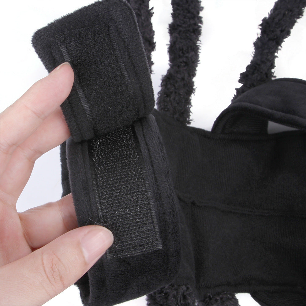 Spider Dog Costume