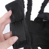 Spider Dog Costume