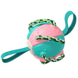 Interactive Dog Soccer Ball With Tabs Outdoor Training Toy
