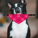 Pink Leaf Dog Bandana Collar