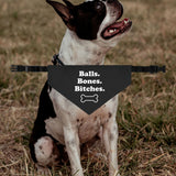 Balls Bones Bitches Dog Bandana Collar