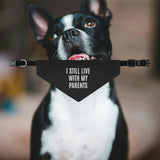 I Still Live With My Parents Dog Bandana Collar