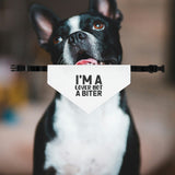 I'm A Lover Not A Bitter Dog Bandana Collar