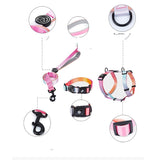 Everkind Gradient Color Strap Dog Harness